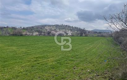 Manisa Kula Ana Yoluna Yakın Yola Cepheli Fırsat Satılık Bağ