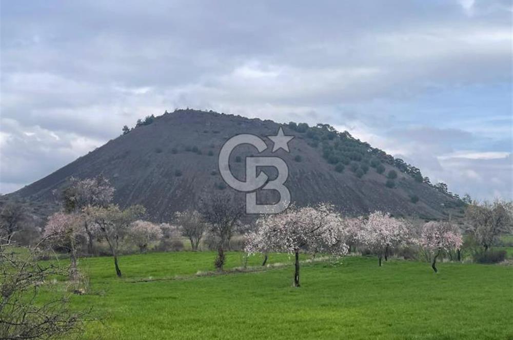 Manisa Kula Ana Yoluna Yakın Yola Cepheli Fırsat Satılık Bağ