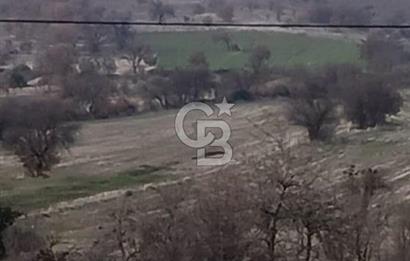 Manisa Kula Ana Yoluna Yakın Yola Cepheli Fırsat Satılık Bağ