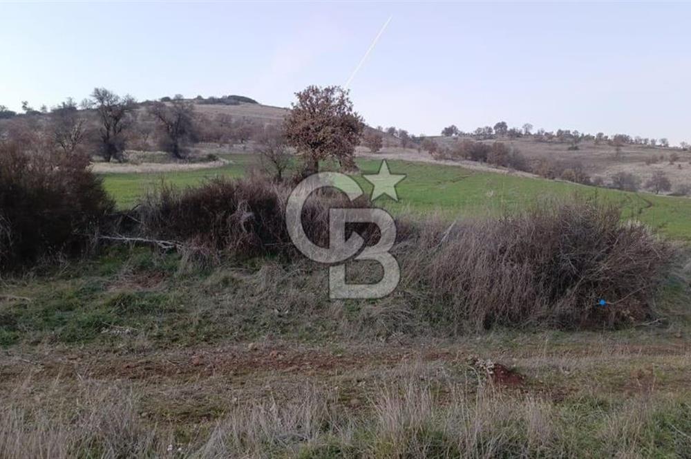 Manisa Kula Ana Yoluna Yakın Yola Cepheli Fırsat Satılık Bağ