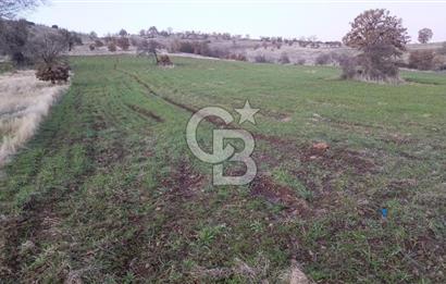 Manisa Kula Ana Yoluna Yakın Yola Cepheli Fırsat Satılık Bağ