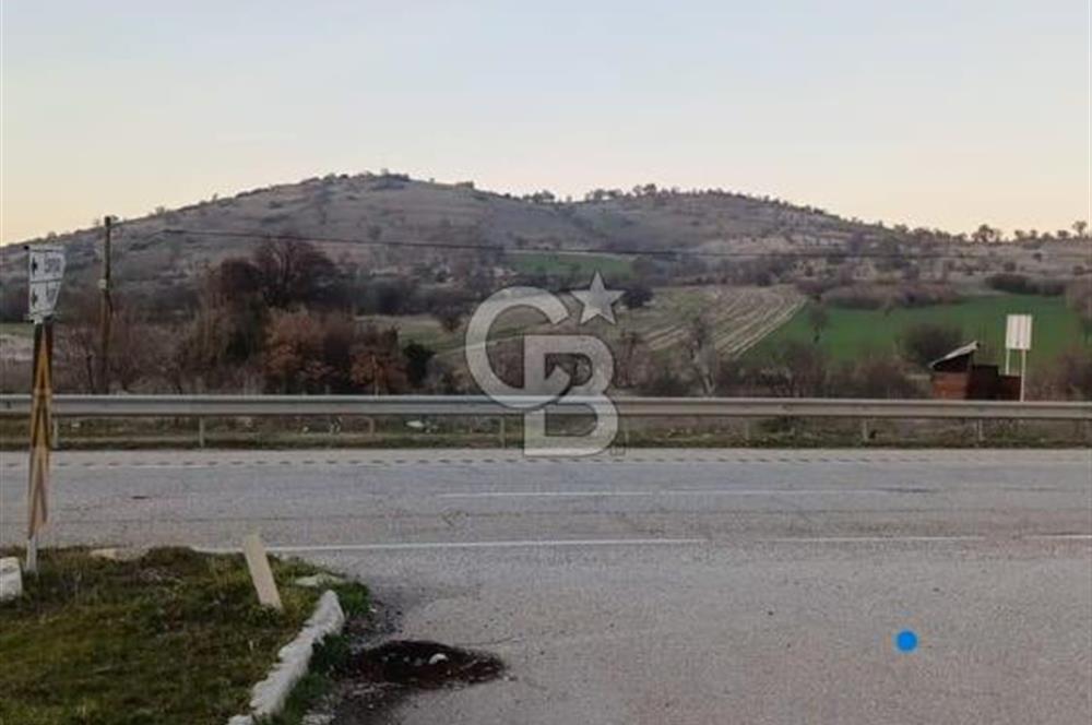 Manisa Kula Ana Yoluna Yakın Yola Cepheli Fırsat Satılık Bağ