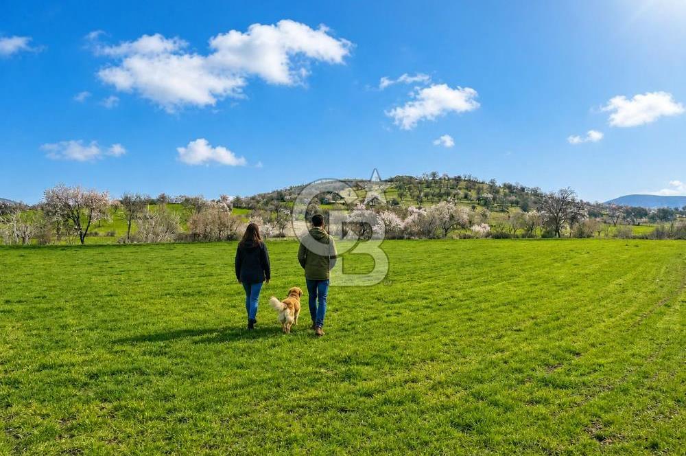 Manisa Kula Ana Yoluna Yakın Yola Cepheli Fırsat Satılık Bağ