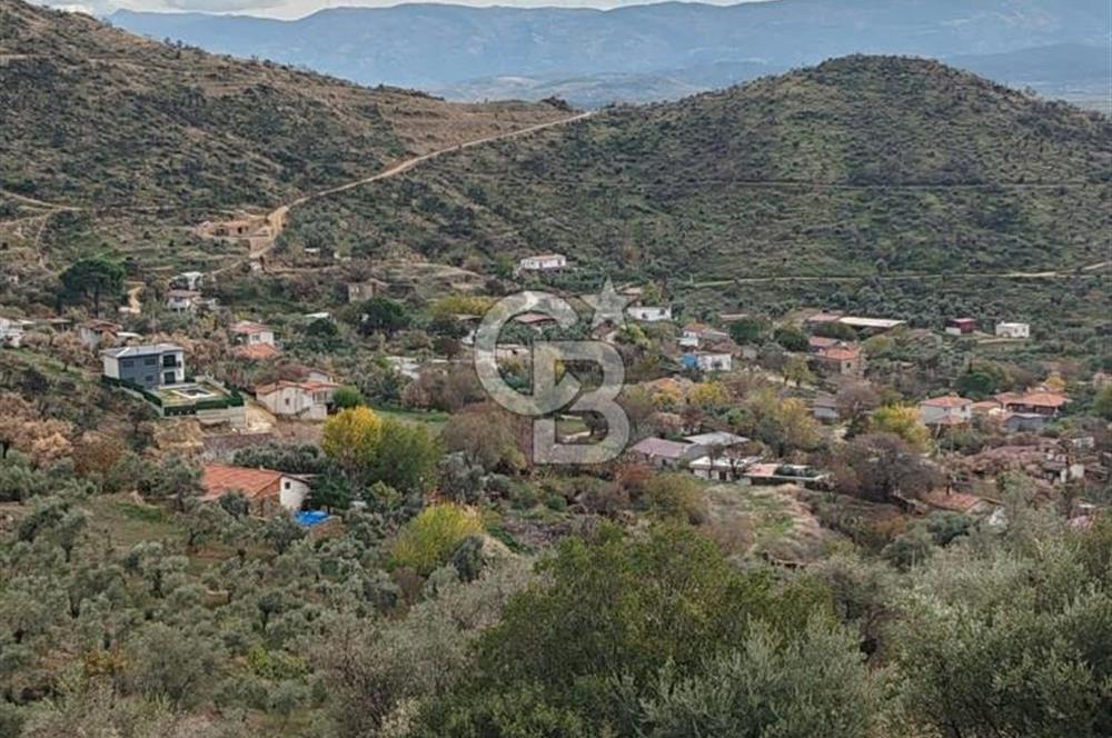 Bayındır Yeşilova Çift Yola Cepheli Fırsat Satılık Zeytinlik