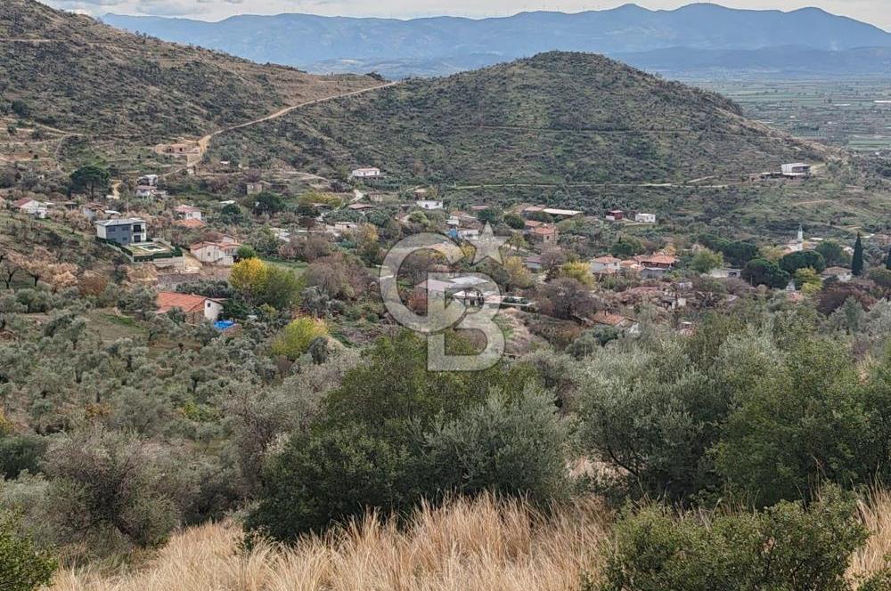 Bayındır Yeşilova Çift Yola Cepheli Fırsat Satılık Zeytinlik