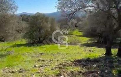 Manisa Soma Yola Cepheli Baraj Manzaralı Satılık Tarla
