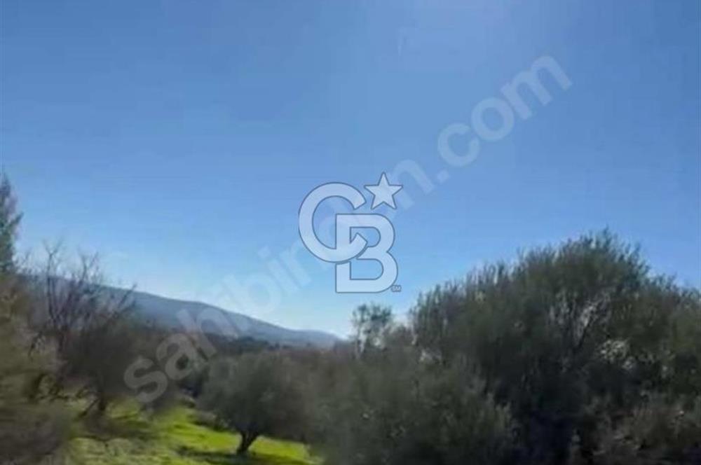 Manisa Soma Yola Cepheli Baraj Manzaralı Satılık Tarla
