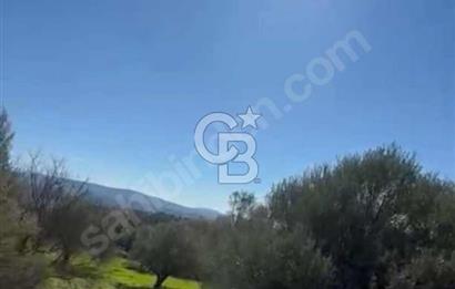 Manisa Soma Yola Cepheli Baraj Manzaralı Satılık Tarla