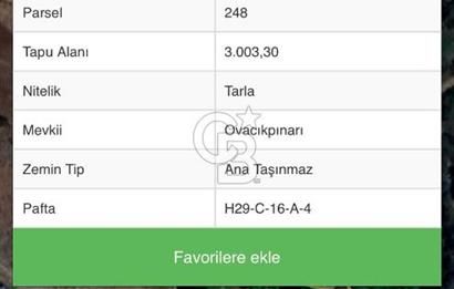 YENİMAHALLE MEMLİK'TE YOLA CEPHE SATILIK TARLA