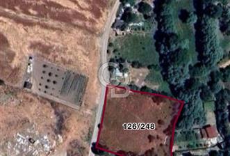 YENİMAHALLE MEMLİK'TE YOLA CEPHE SATILIK TARLA - 1 - 347770