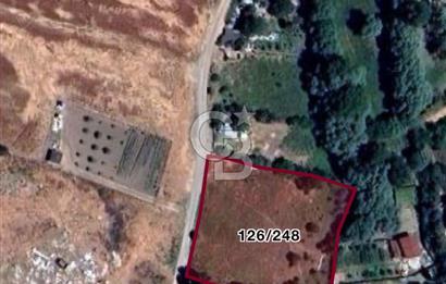 YENİMAHALLE MEMLİK'TE YOLA CEPHE SATILIK TARLA