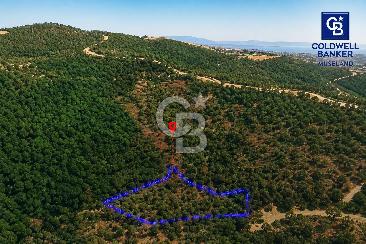 MUSELAND-Urla Bademler'de 4766 M2 Satılık Zeytinlik