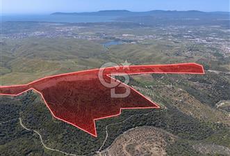SEFERİHİSAR ULAMIŞ 409 DÖNÜM FISTIK ÇAMI ARAZİSİ | 130 YIL TAHSİSLİ - 2 - 331297