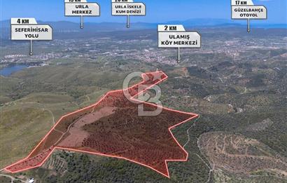 SEFERİHİSAR ULAMIŞ 409 DÖNÜM FISTIK ÇAMI ARAZİSİ | 130 YIL TAHSİSLİ