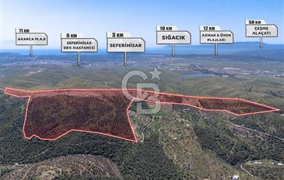 SEFERİHİSAR ULAMIŞ 409 DÖNÜM FISTIK ÇAMI ARAZİSİ | 130 YIL TAHSİSLİ