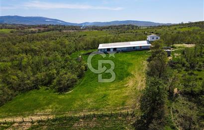 BALYA YENİKAVAK MH'DE SATILIK 2.658 M² ÇİFTLİK + TARLA
