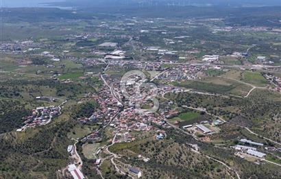 SEFERİHİSAR ULAMIŞ 409 DÖNÜM FISTIK ÇAMI ARAZİSİ | 130 YIL TAHSİSLİ