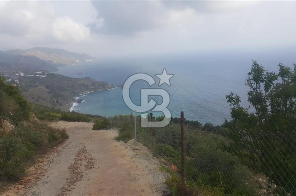 ANTALYA GAZİPAŞA’DA SATILIK BAHÇE 