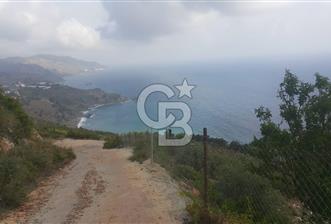 ANTALYA GAZİPAŞA’DA SATILIK BAHÇE  - 3 - 348150