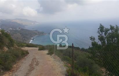 ANTALYA GAZİPAŞA’DA SATILIK BAHÇE 