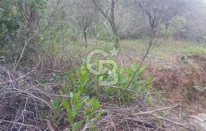 ANTALYA GAZİPAŞA’DA SATILIK BAHÇE 