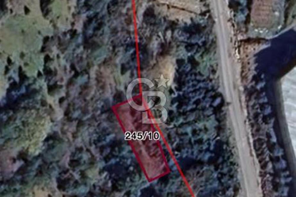 ANTALYA GAZİPAŞA’DA SATILIK BAHÇE 