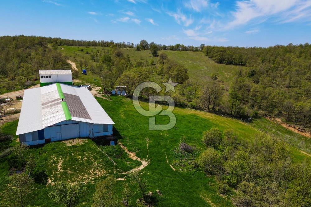 BALYA YENİKAVAK MH'DE SATILIK 2.658 M² ÇİFTLİK + TARLA