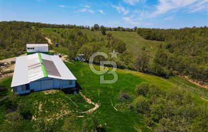 BALYA YENİKAVAK MH'DE SATILIK 2.658 M² ÇİFTLİK + TARLA
