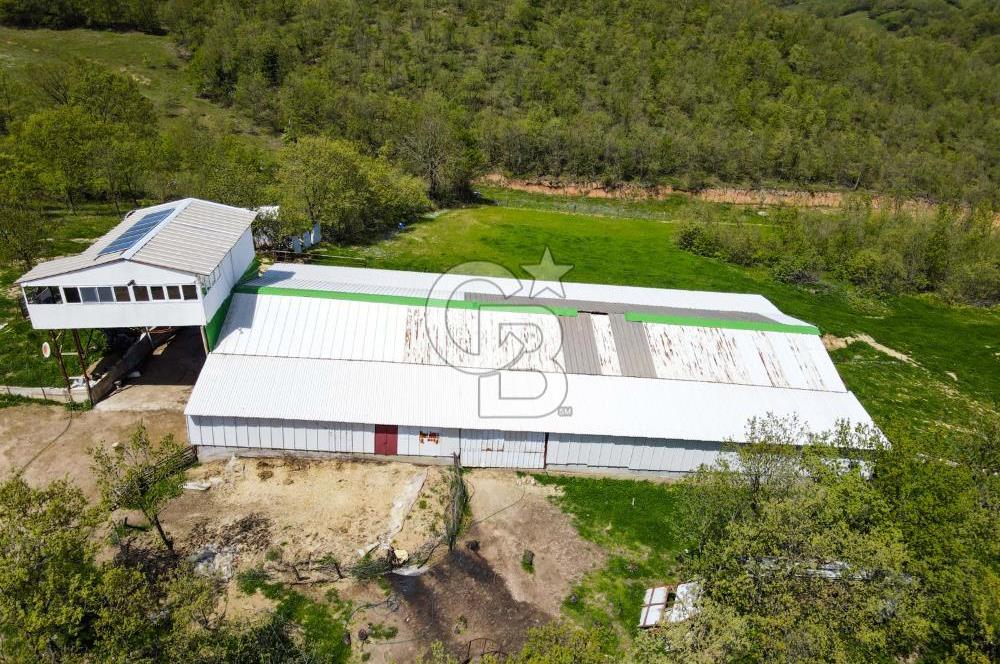 BALYA YENİKAVAK MH'DE SATILIK 2.658 M² ÇİFTLİK + TARLA