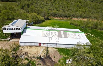 BALYA YENİKAVAK MH'DE SATILIK 2.658 M² ÇİFTLİK + TARLA
