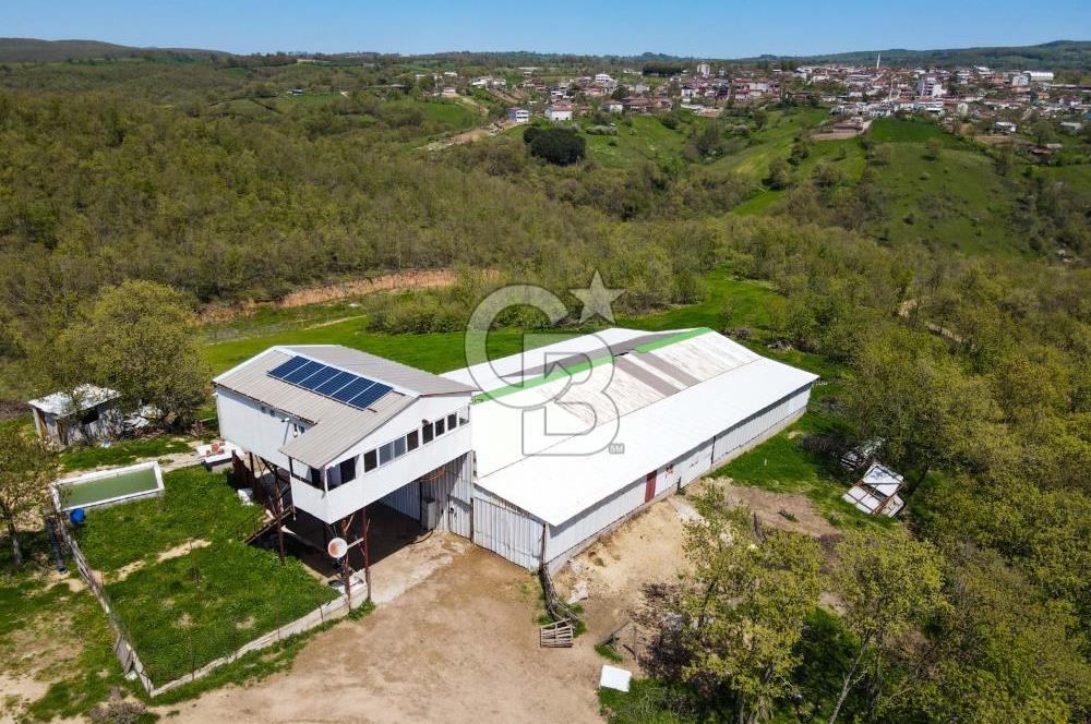 BALYA YENİKAVAK MH'DE SATILIK 2.658 M² ÇİFTLİK + TARLA