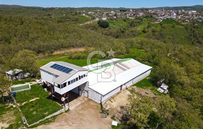 BALYA YENİKAVAK MH'DE SATILIK 2.658 M² ÇİFTLİK + TARLA
