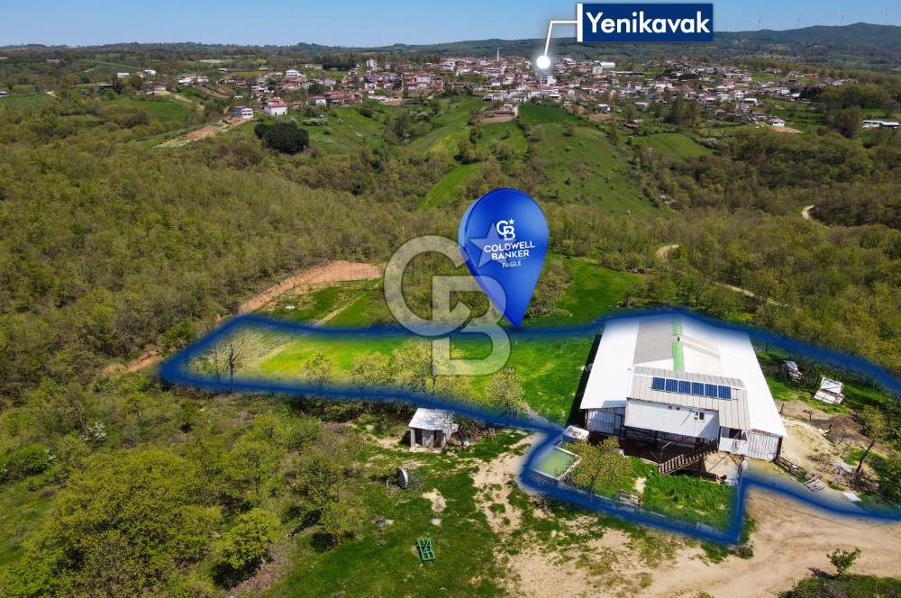 BALYA YENİKAVAK MH'DE SATILIK 2.658 M² ÇİFTLİK + TARLA