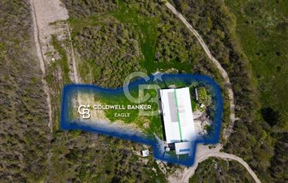 BALYA YENİKAVAK MH'DE SATILIK 2.658 M² ÇİFTLİK + TARLA