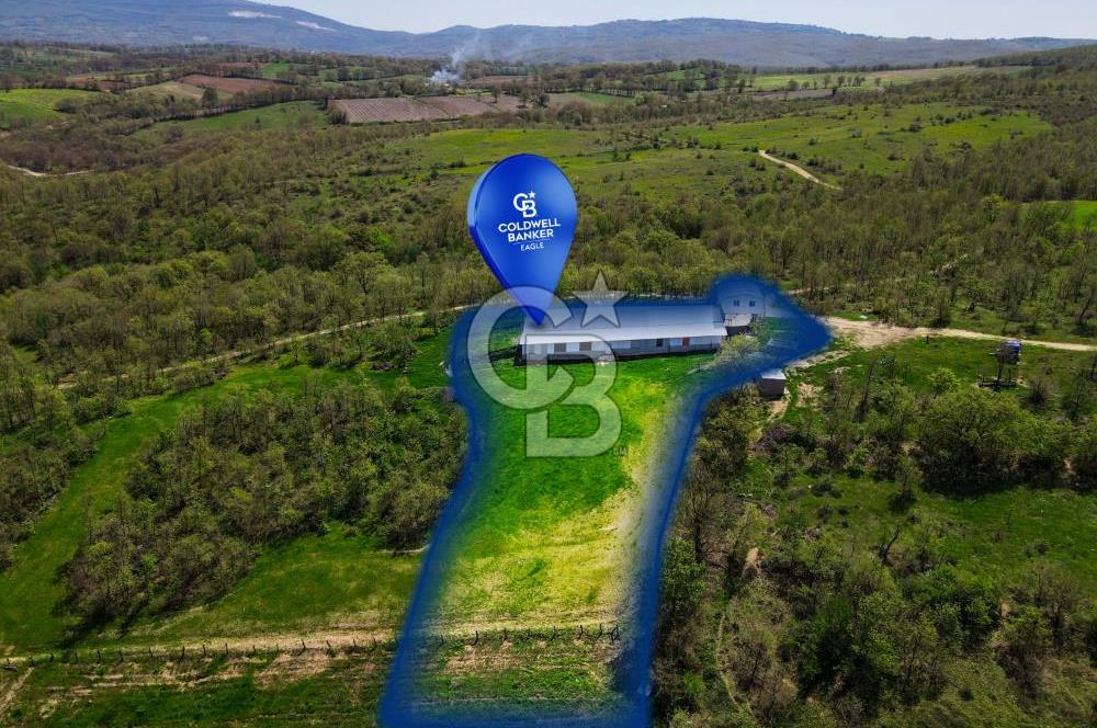 BALYA YENİKAVAK MH'DE SATILIK 2.658 M² ÇİFTLİK + TARLA