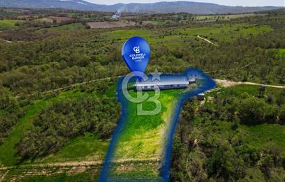 BALYA YENİKAVAK MH'DE SATILIK 2.658 M² ÇİFTLİK + TARLA