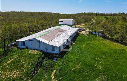 BALYA YENİKAVAK MH'DE SATILIK 2.658 M² ÇİFTLİK + TARLA