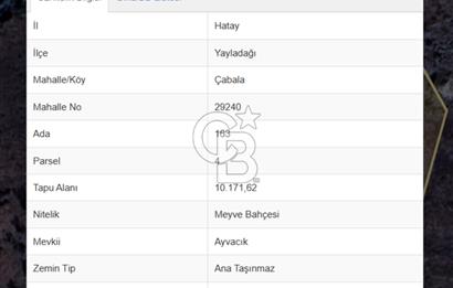 Yayladağı Çabala Mahallesinde Satılık Konut İmarlı Arsa