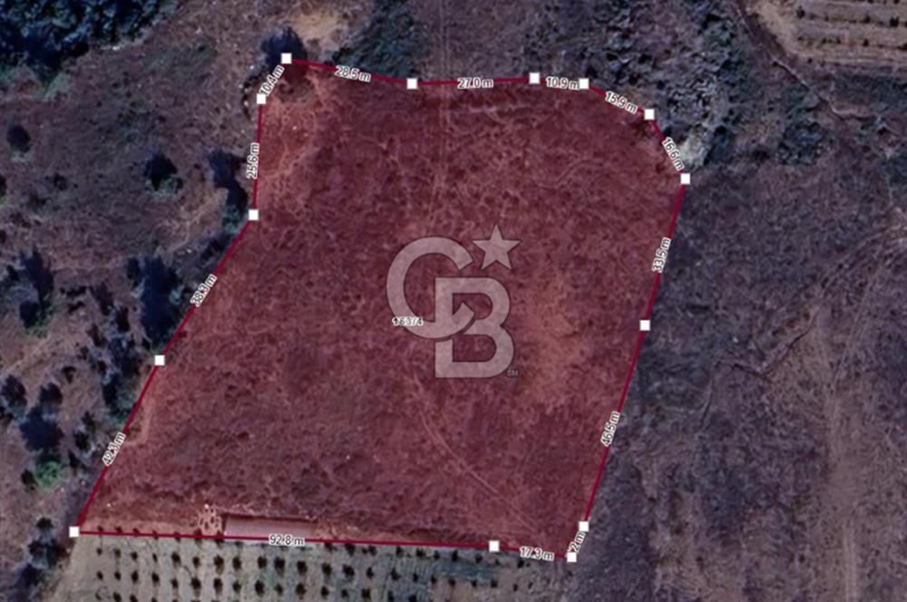 Yayladağı Çabala Mahallesinde Satılık Konut İmarlı Arsa