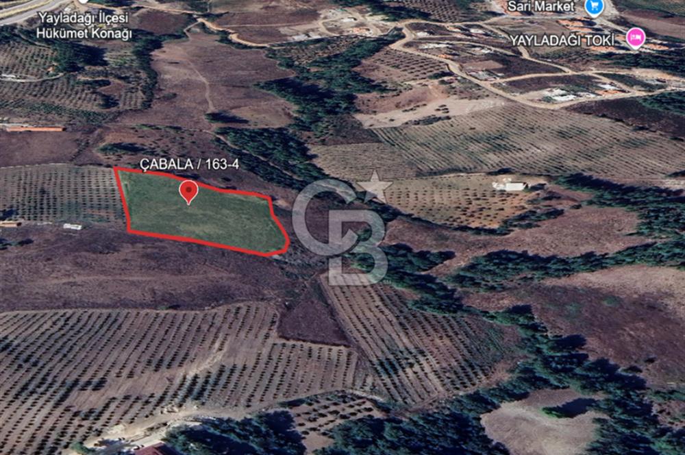 Yayladağı Çabala Mahallesinde Satılık Konut İmarlı Arsa