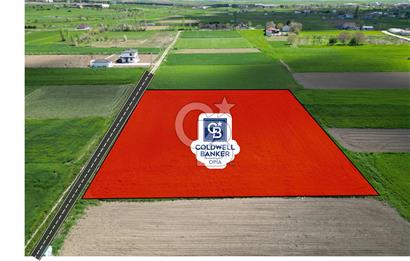 CB OPİA'DAN ŞEHRE YAKIN DOĞAYLA İÇ İÇE YATIRIM FIRSATI / BOZKUŞ