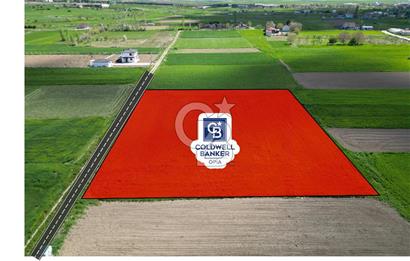 CB OPİA'DAN ŞEHRE YAKIN DOĞAYLA İÇ İÇE YATIRIM FIRSATI / BOZKUŞ