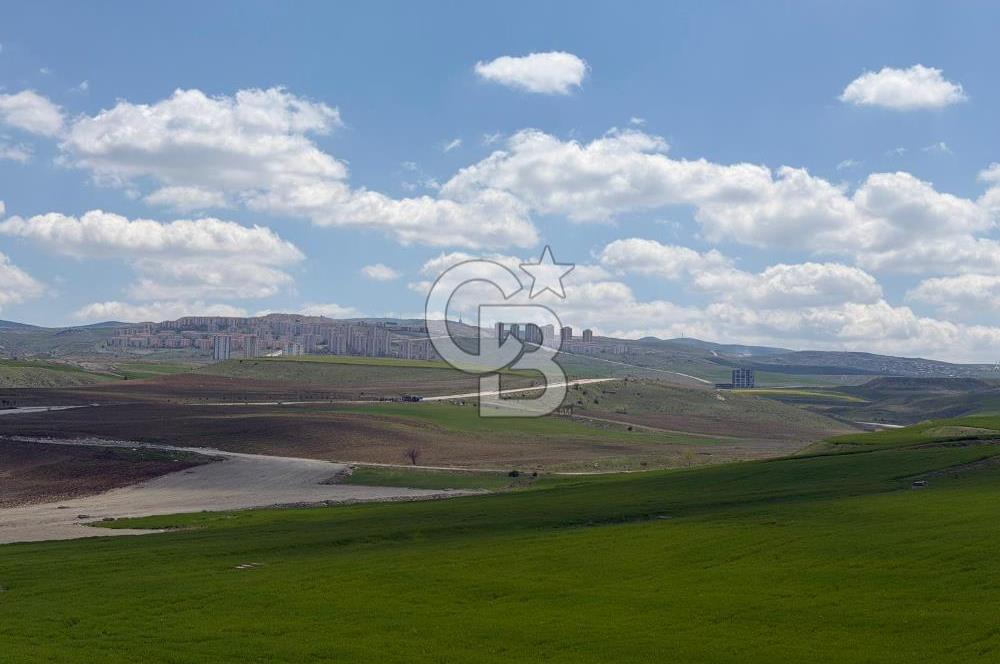 KUSUNLARIN EN GÜZEL BÖLGESİN DE SATILIK 500 M2 ARSA