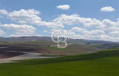 KUSUNLARIN EN GÜZEL BÖLGESİN DE SATILIK 500 M2 ARSA