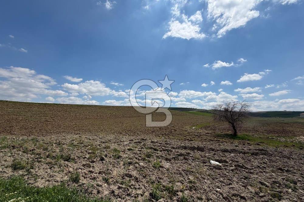 KUSUNLARIN EN GÜZEL BÖLGESİN DE SATILIK 500 M2 ARSA