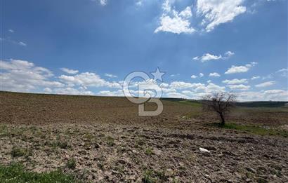 KUSUNLARIN EN GÜZEL BÖLGESİN DE SATILIK 500 M2 ARSA