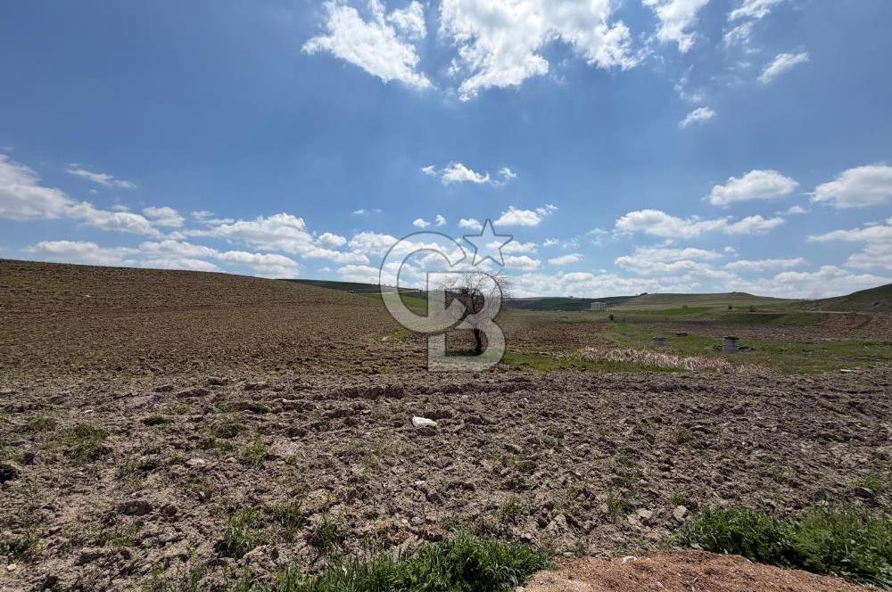 KUSUNLARIN EN GÜZEL BÖLGESİN DE SATILIK 500 M2 ARSA