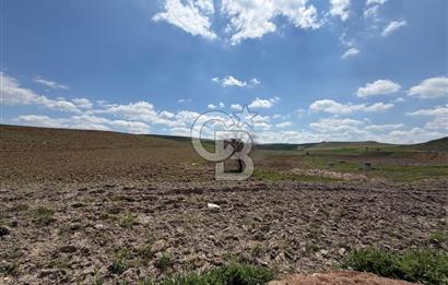KUSUNLARIN EN GÜZEL BÖLGESİN DE SATILIK 500 M2 ARSA