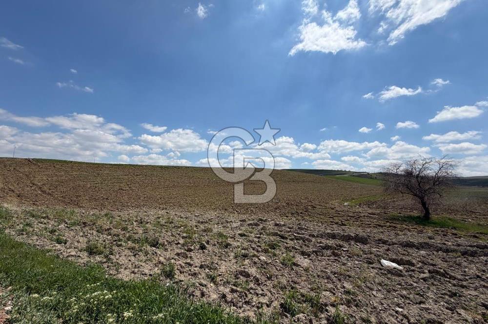 KUSUNLARIN EN GÜZEL BÖLGESİN DE SATILIK 500 M2 ARSA
