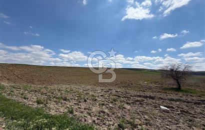 KUSUNLARIN EN GÜZEL BÖLGESİN DE SATILIK 500 M2 ARSA